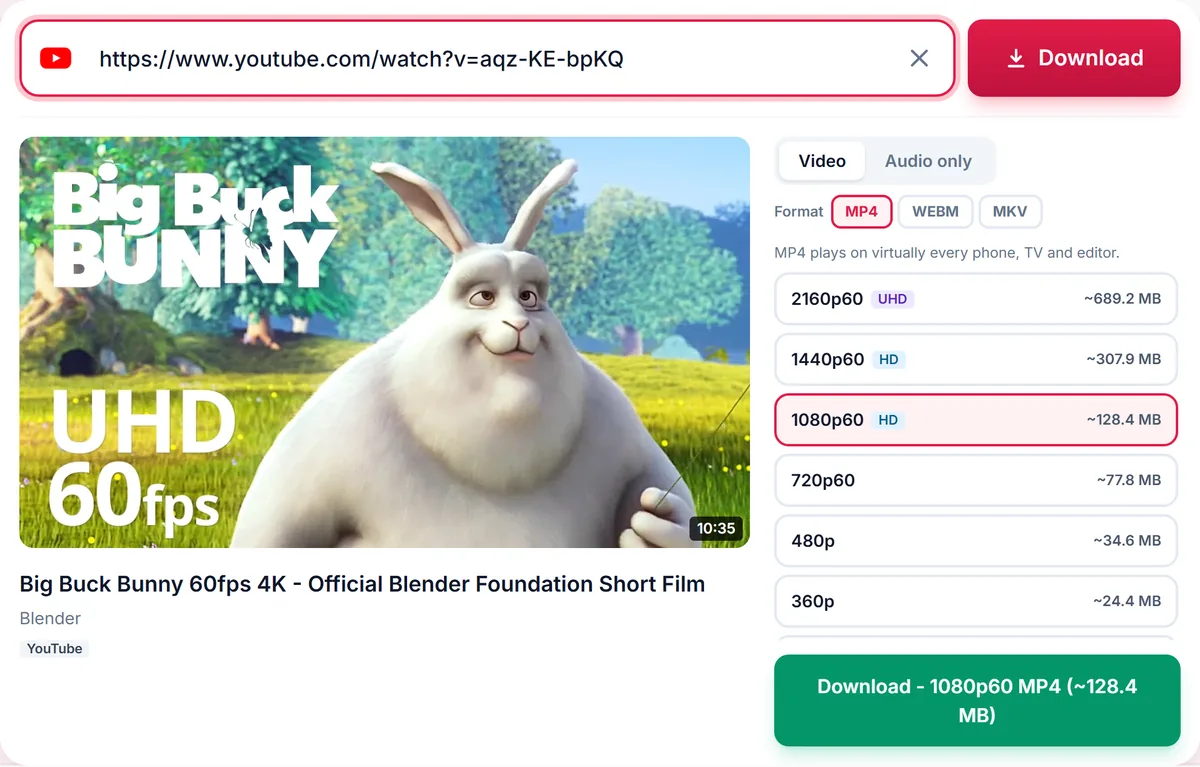 Quality list for a YouTube video: 2160p 4K, 1440p, 1080p, 720p, 480p and 360p MP4, each with its file size